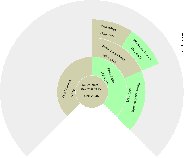 Frances Amy Ayles Circle Diagram