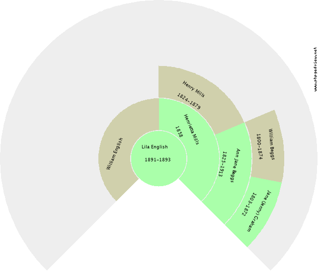 Lila English Circle Diagram